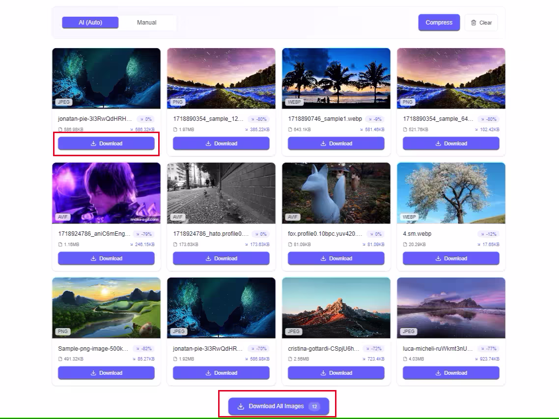 Download optimized images